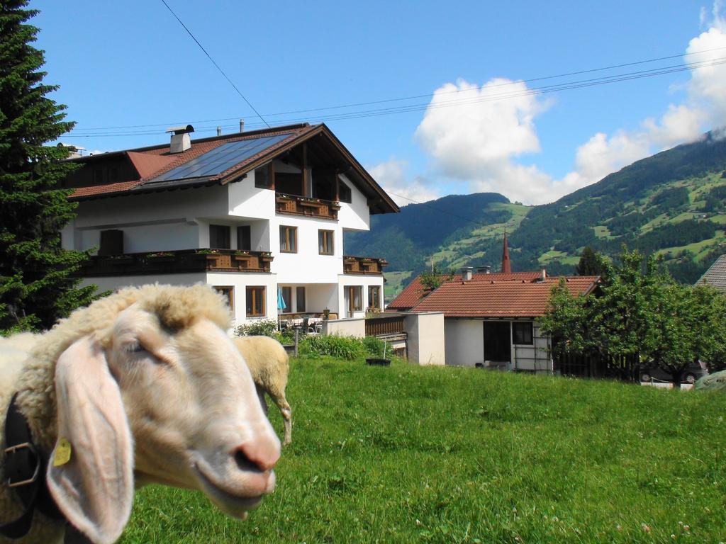 Gastehaus Treichl Hotel Fügen Kültér fotó